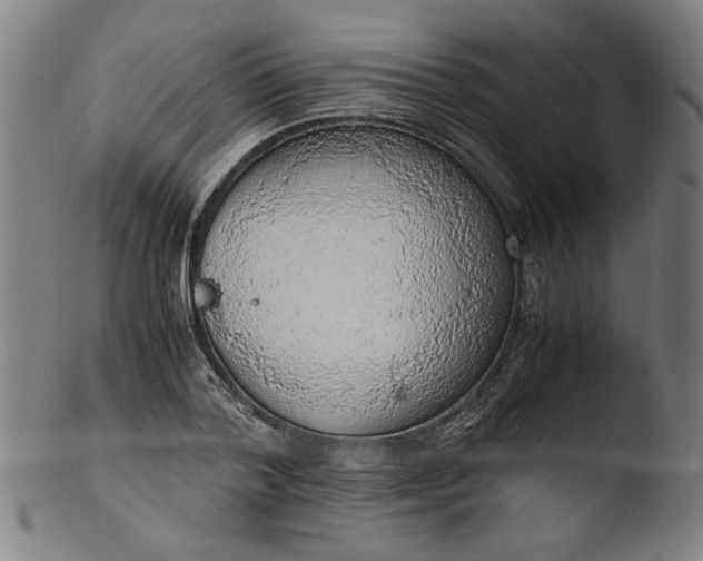 X0000103410788200809261642