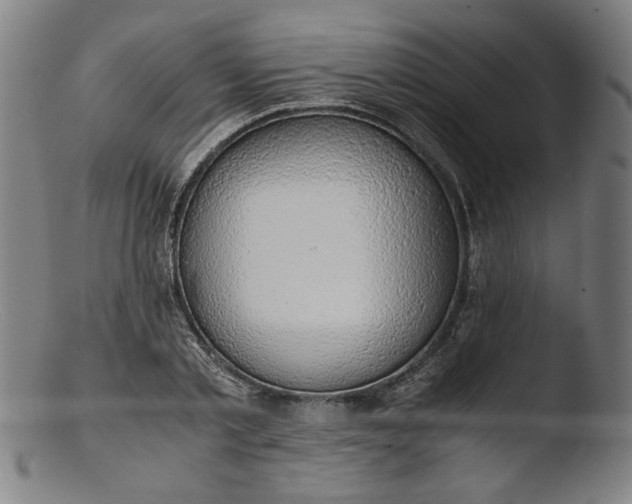 X0000103410789200809261642