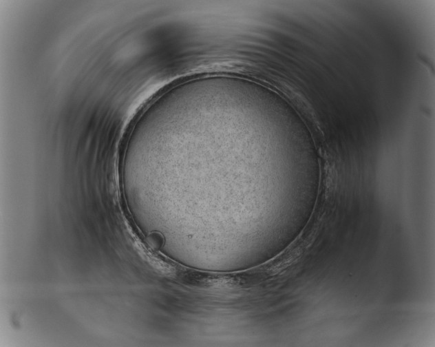 X0000103410792200809261642