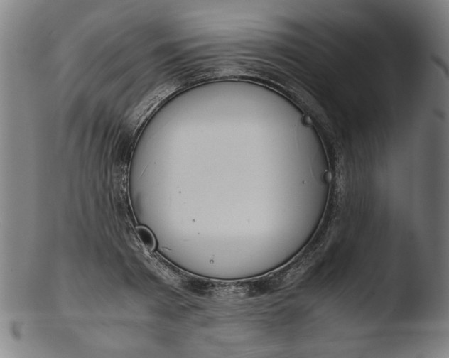 X0000103410793200809261642