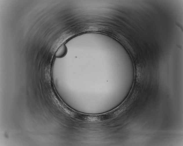 X0000103410794200809261642