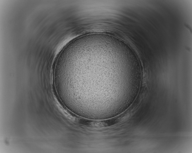 X0000103410795200809261642