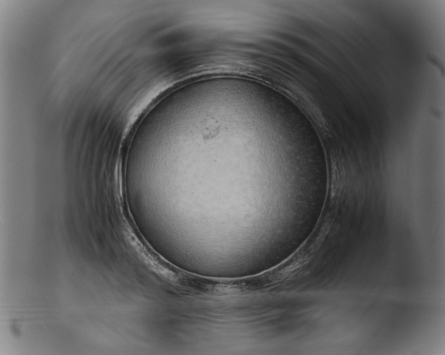 X0000103410796200809261642