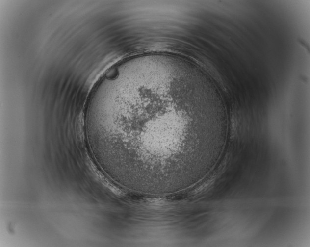 X0000103410798200809261642