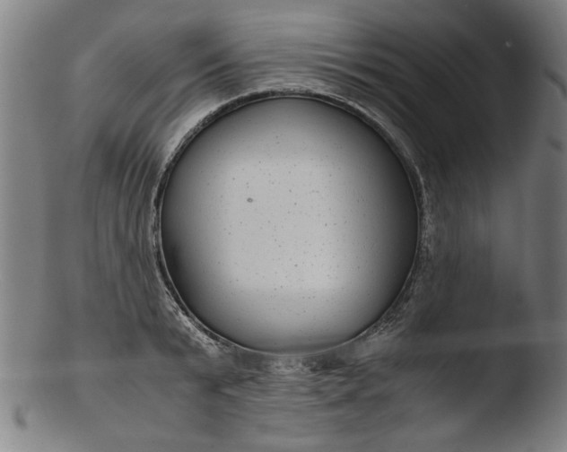 X0000103410799200809261642