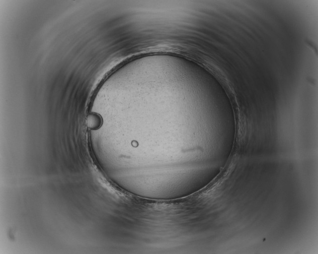 X0000103410800200809261642