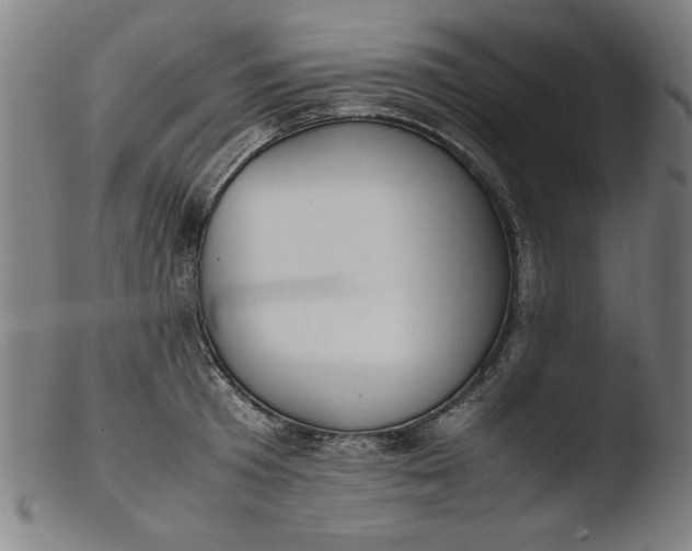 X0000103410801200809261642