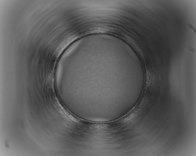 X0000103410802200809261642