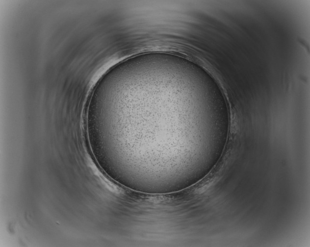 X0000103410803200809261642