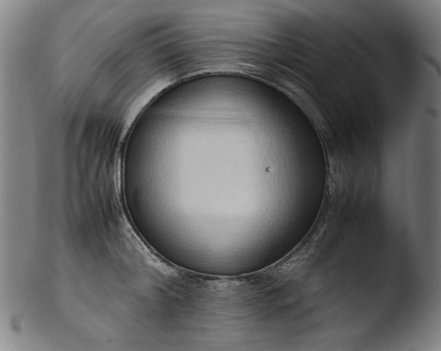 X0000103410804200809261642