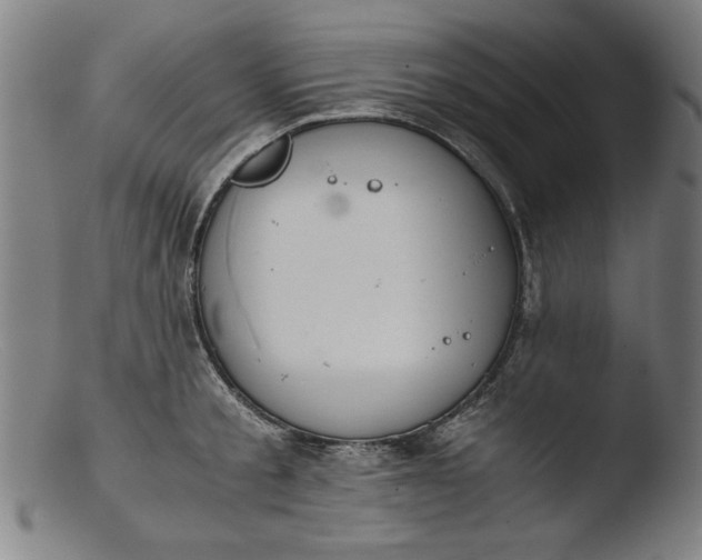 X0000103410805200809261642