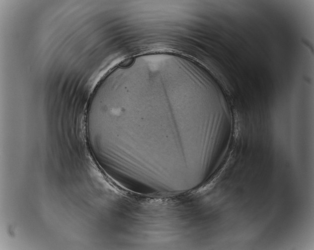 X0000103410806200809261642