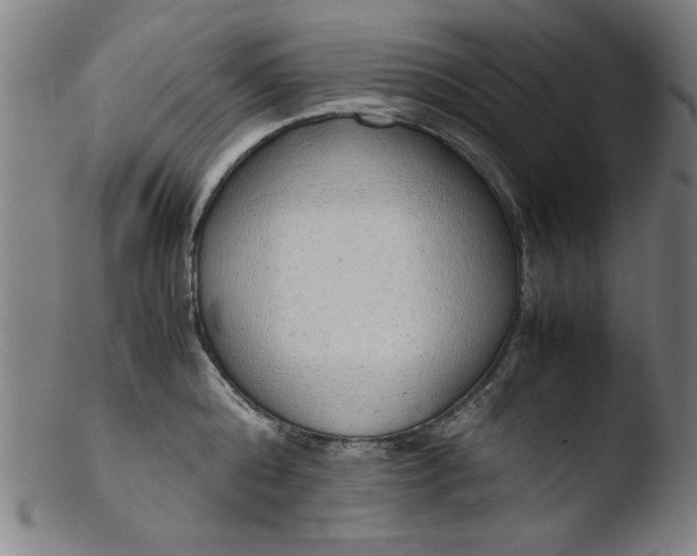 X0000103410808200809261642