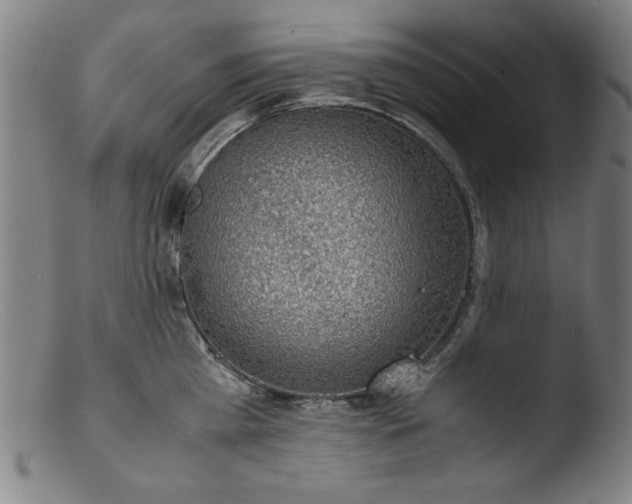 X0000103410809200809261642