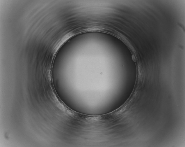 X0000103410810200809261642