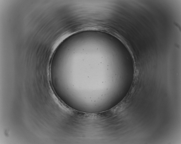 X0000103410811200809261642