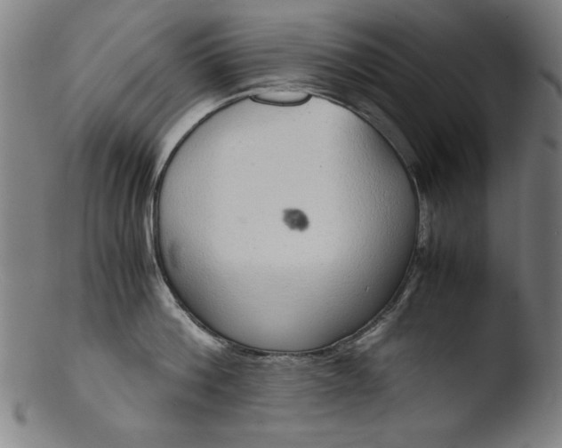 X0000103410812200809261642