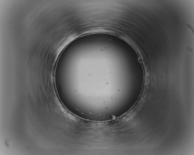 X0000103410813200809261642