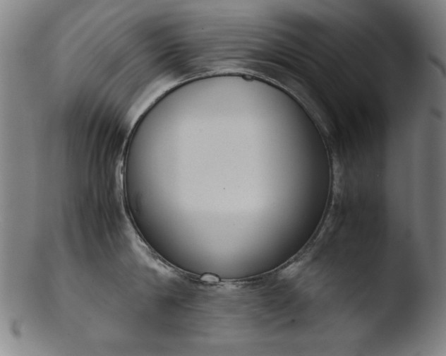 X0000103410814200809261642