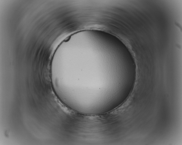 X0000103410816200809261642