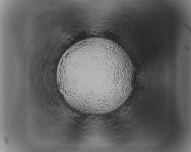 X0000103410817200809261641