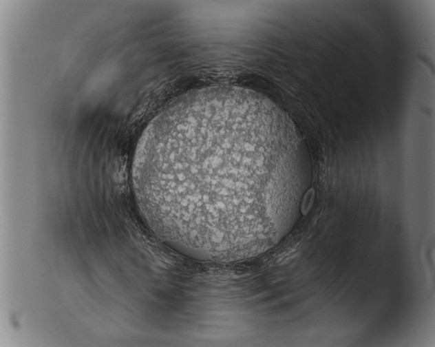 X0000103410818200809261641