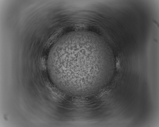 X0000103410819200809261641