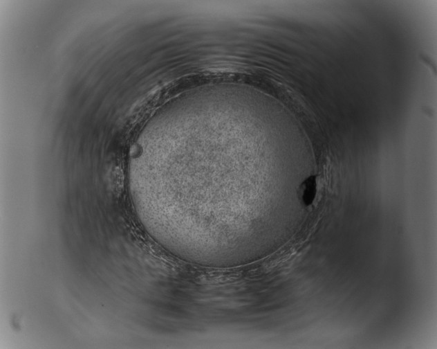 X0000103410821200809261641