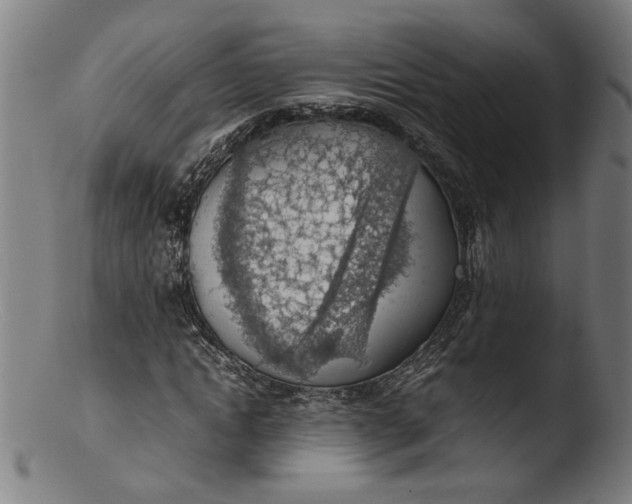 X0000103410822200809261641