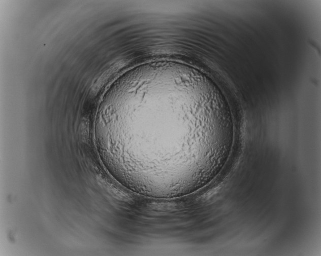 X0000103410825200809261641