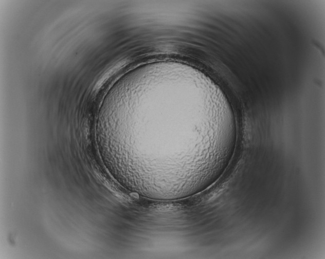 X0000103410826200809261641