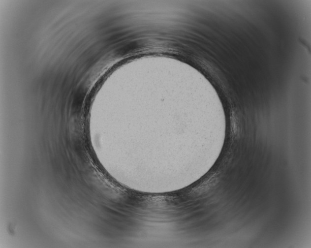 X0000103410828200809261641