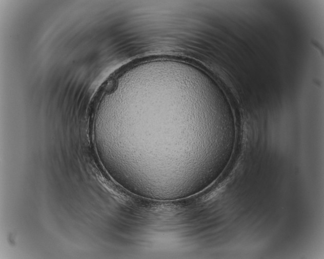 X0000103410830200809261641