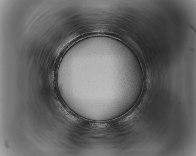 X0000103410831200809261641