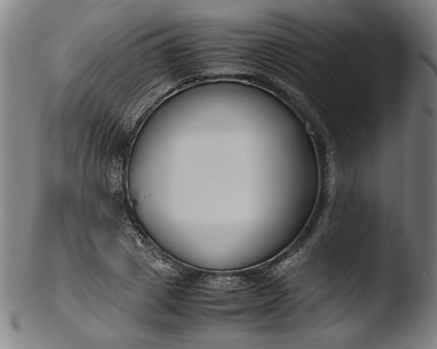 X0000103410833200809261641