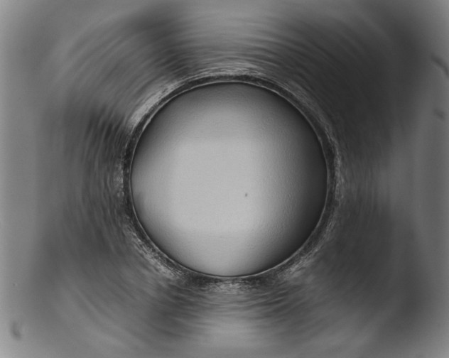 X0000103410834200809261641