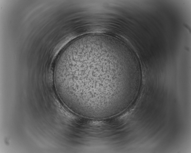 X0000103410835200809261641