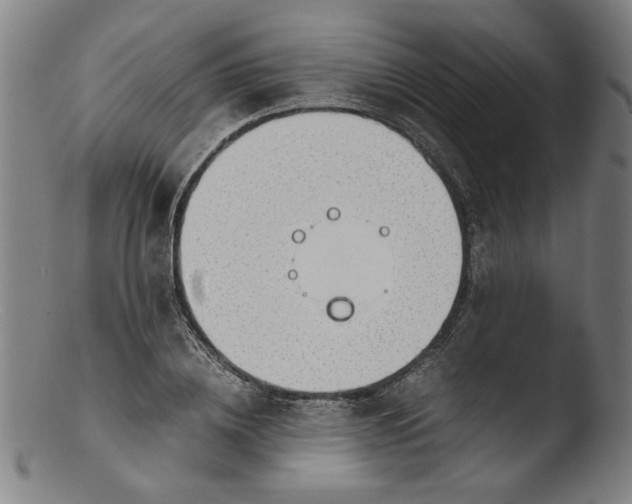 X0000103410836200809261641