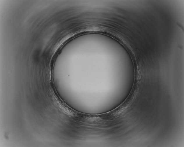 X0000103410837200809261641