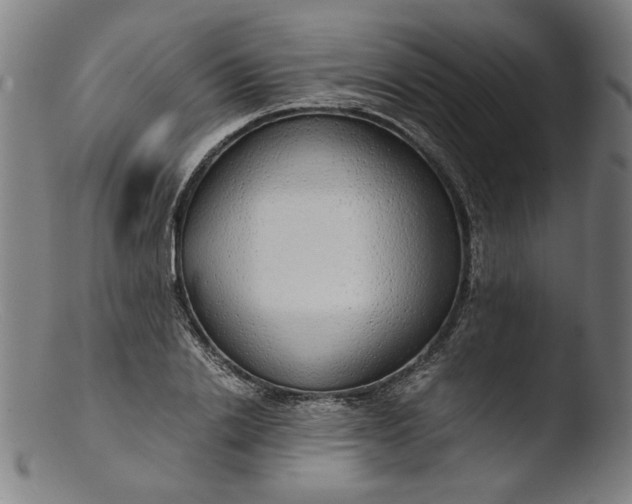 X0000103410838200809261641