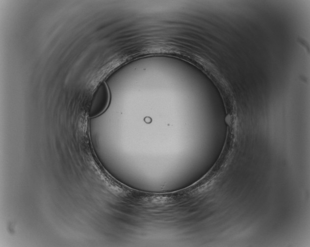 X0000103410841200809261641