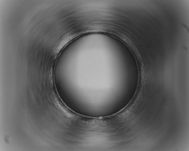 X0000103410842200809261642