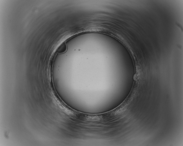 X0000103410843200809261642