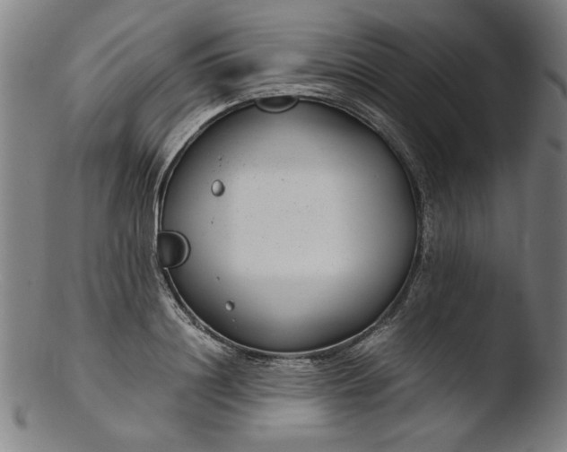 X0000103410844200809261642