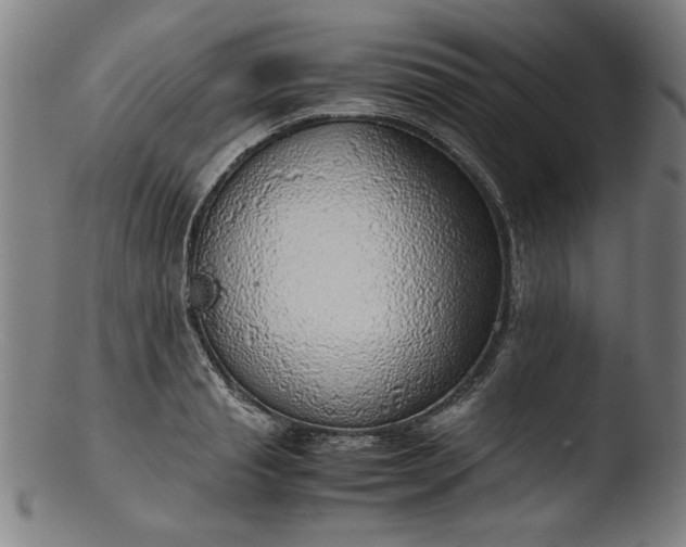 X0000103410845200809261642