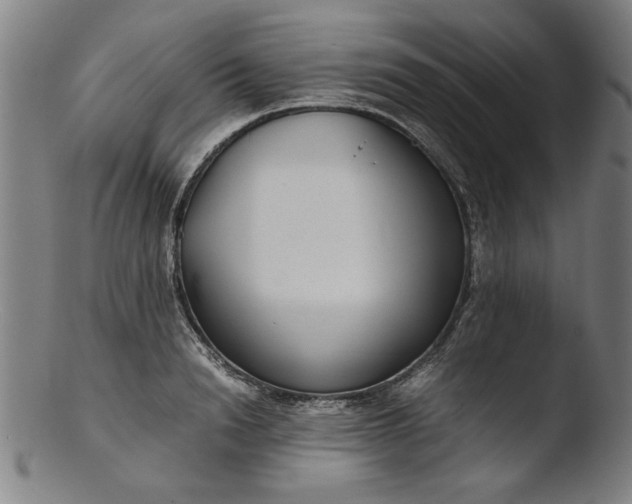 X0000103410846200809261642