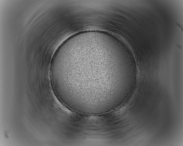 X0000103410847200809261642