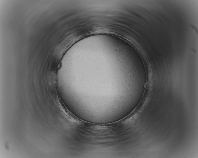 X0000103410849200809261642