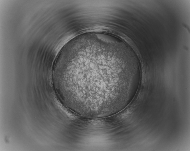 X0000103410850200809261642