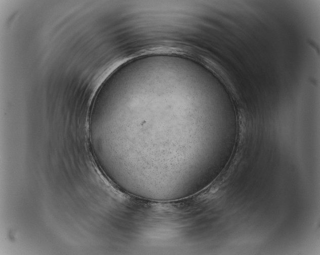 X0000103410852200809261642